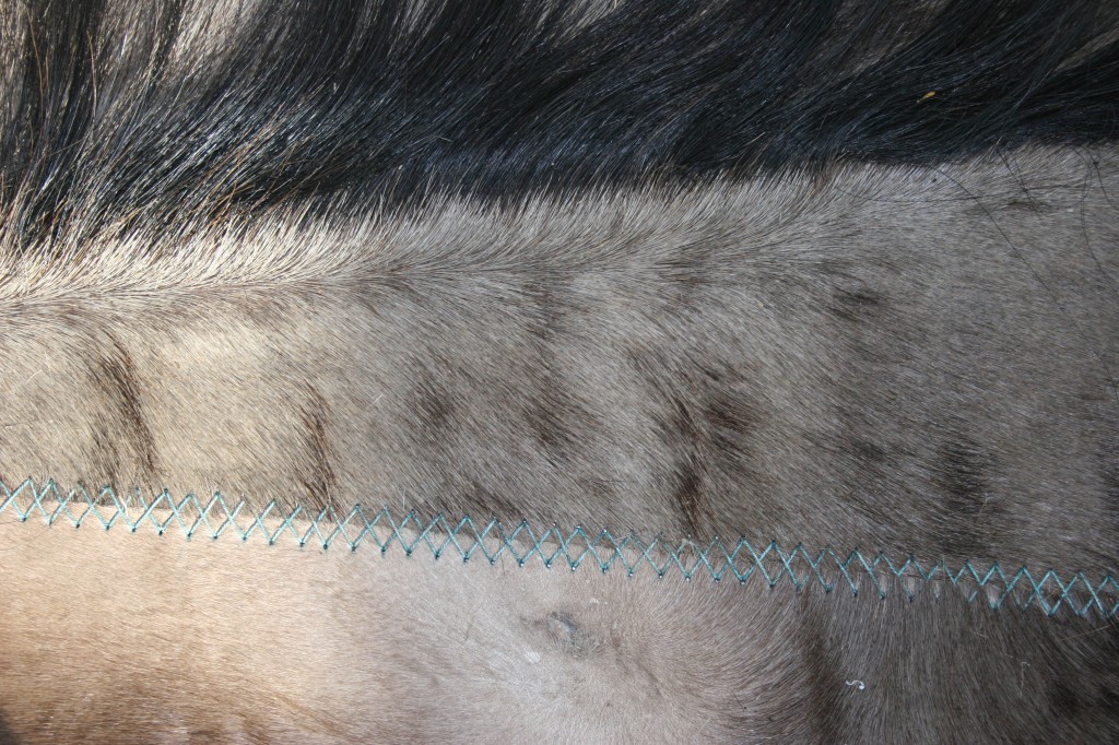 23 june 2008 224